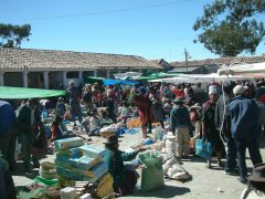 01-Local market